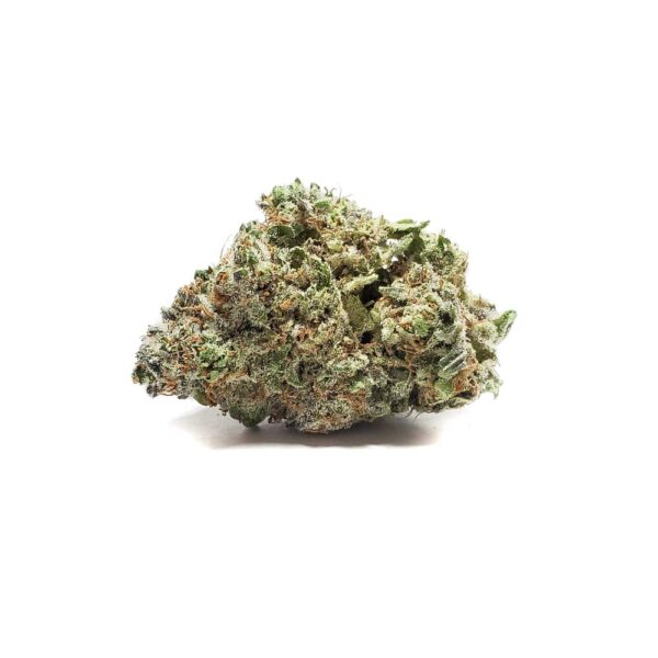 White-Widow