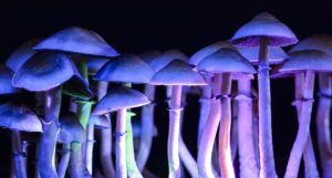 Psilocybin Image