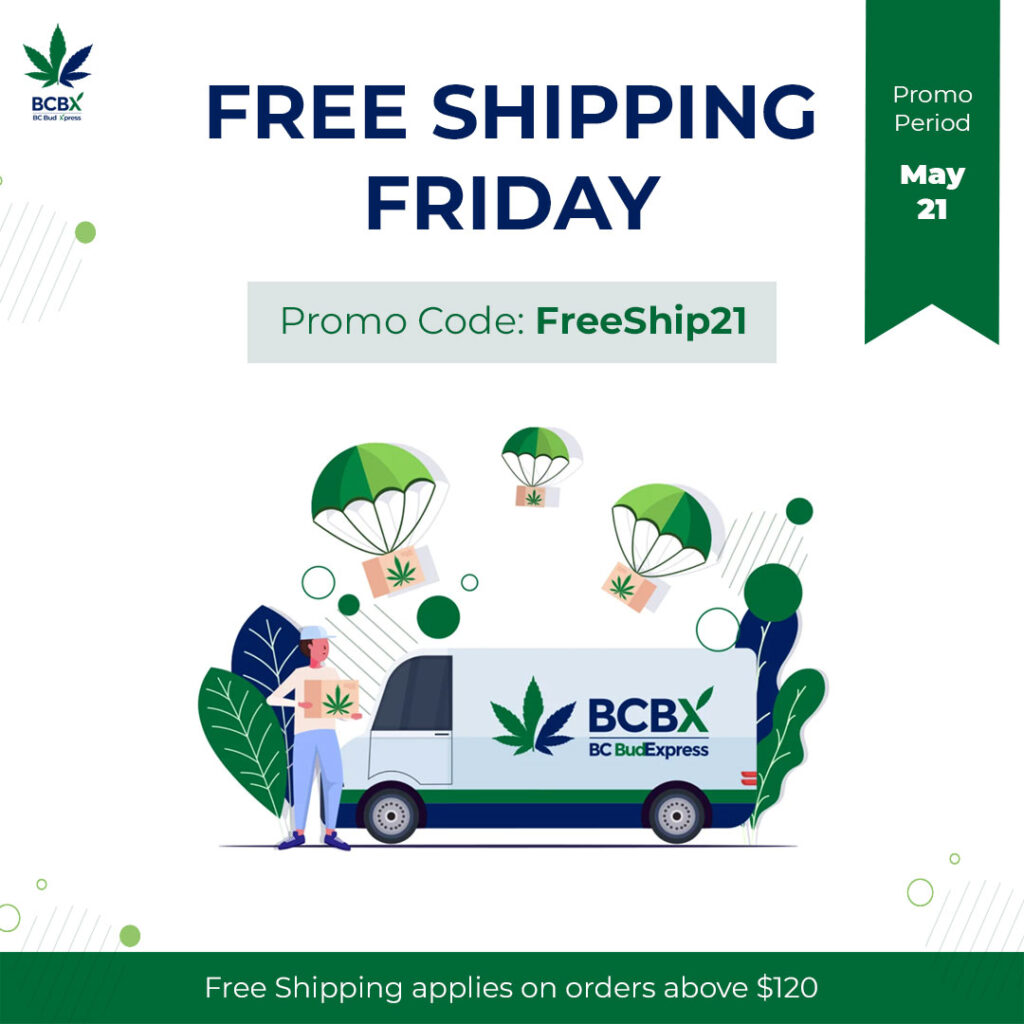 FREE SHIPPING FRIDAY