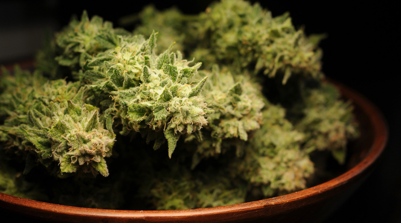 The Most Potent Sativa Strains