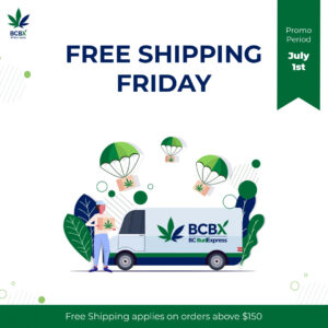 FREE SHIPPING FRIDAY