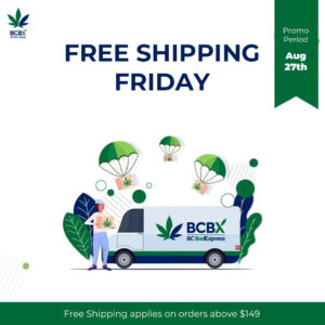 Free Shipping Friday