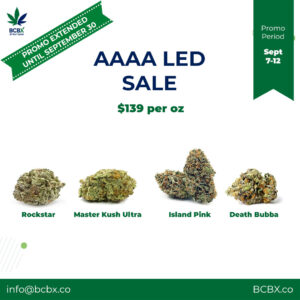 AAAA LED Sale EXTENDED