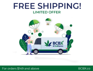 Free shipping