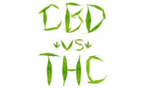 THC vs. CBD