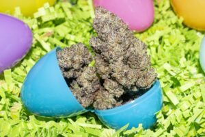 easter egg basket